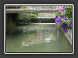 DSCN2135