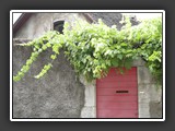 DSCN2147