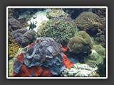DSCN2298